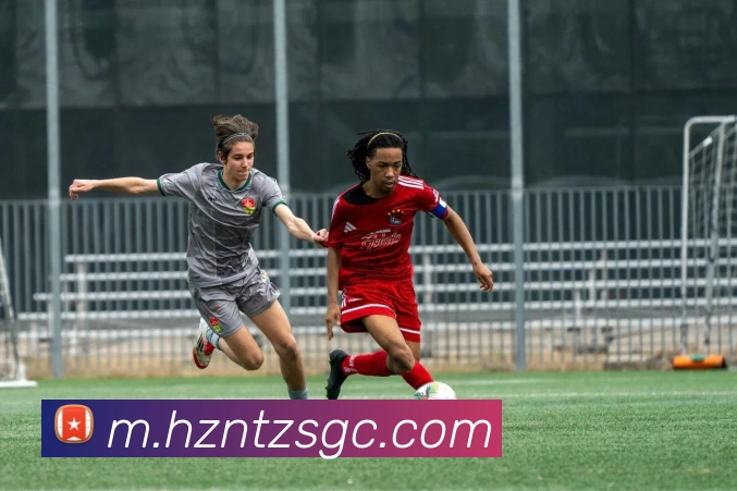 开云体育品牌故事