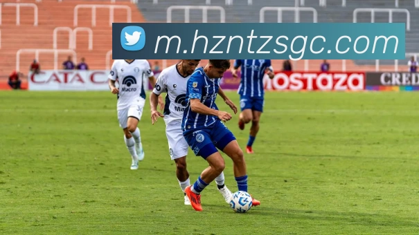 开云体育服务体系