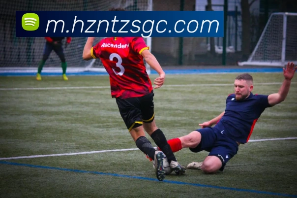 多媒体互动体验